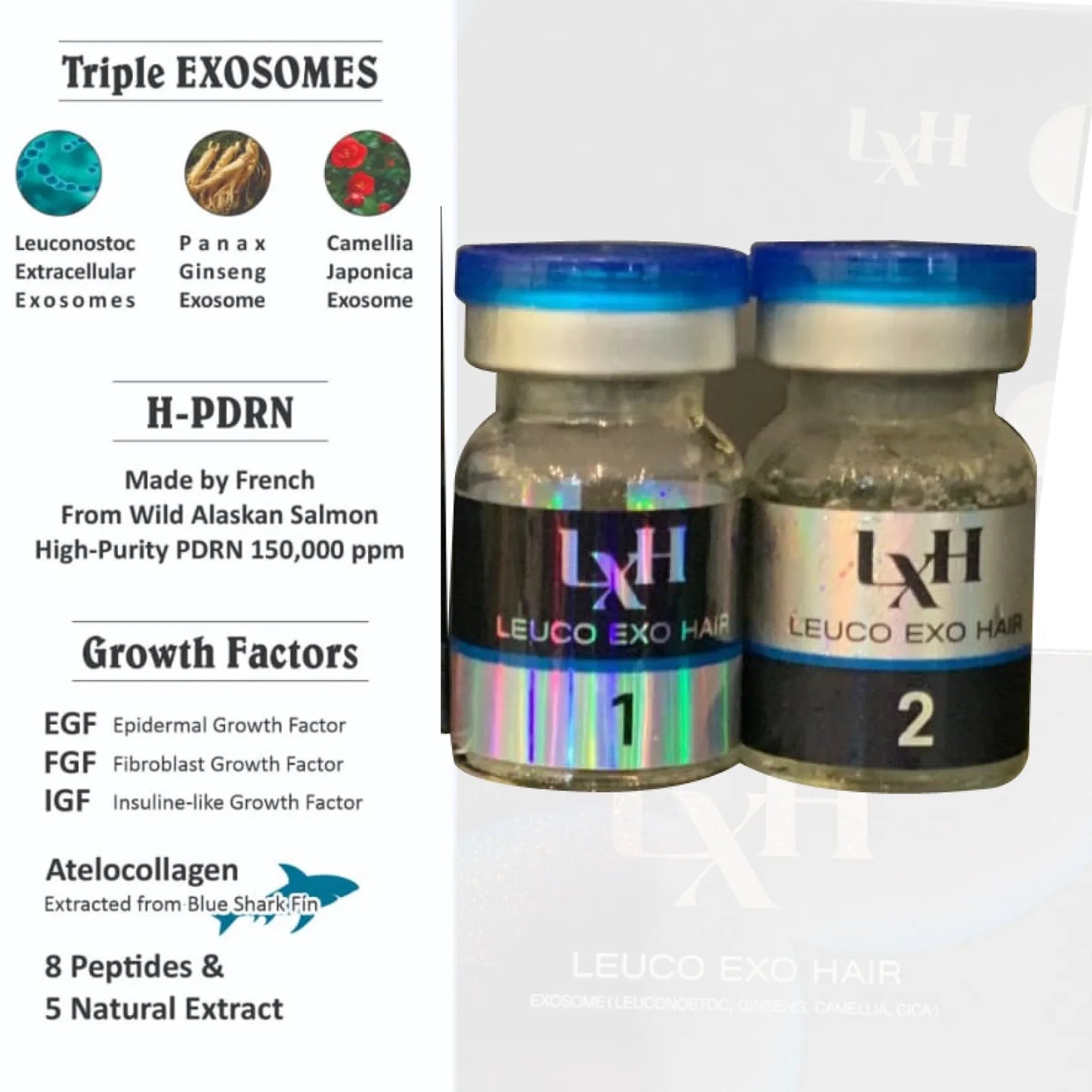 Leuco Exo Hair Korean Exosome 4.5 Billion